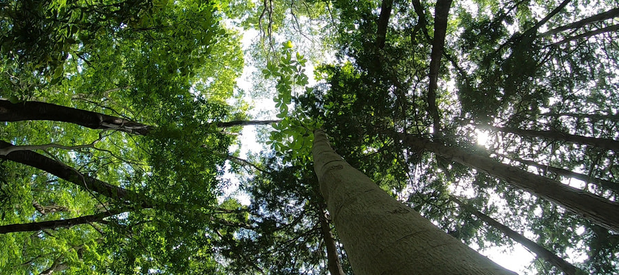 gh010330.jpg